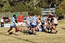 Manning Doughty on the charge for Nyngan.