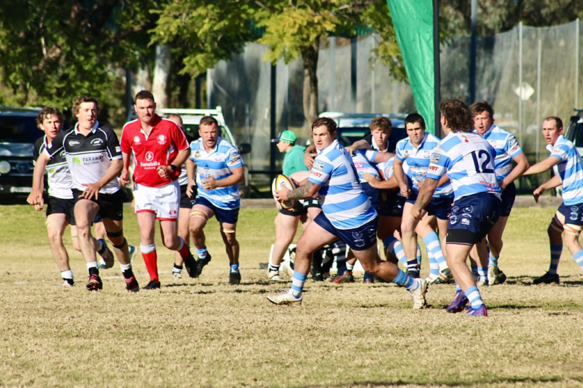 Mat Sheather assesses his options with ball for the Bulls.