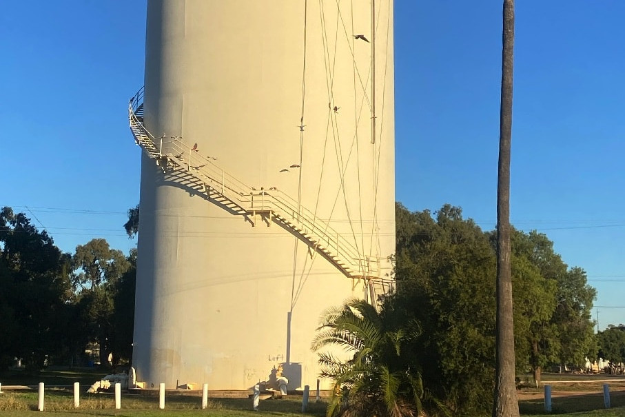 Bogan Shire Council has received NSW Government grant funding for public artwork and has decided to decorate the water tower in O’Reilly Park, Nyngan. Council will engage with the community for artwork ideas. Photo by The Nyngan Weekly: Abigail McLaughlin.