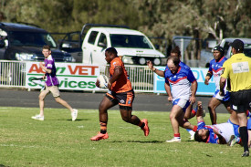 Kaminiieli Raqio with the ball for the Tigers.