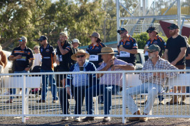 The Tigers crowd.