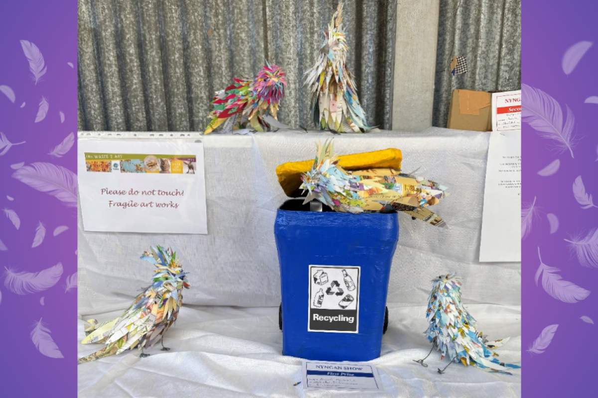 ‘Bin Chickens’ by Abigail McLaughlin. Photos by The Nyngan Weekly.