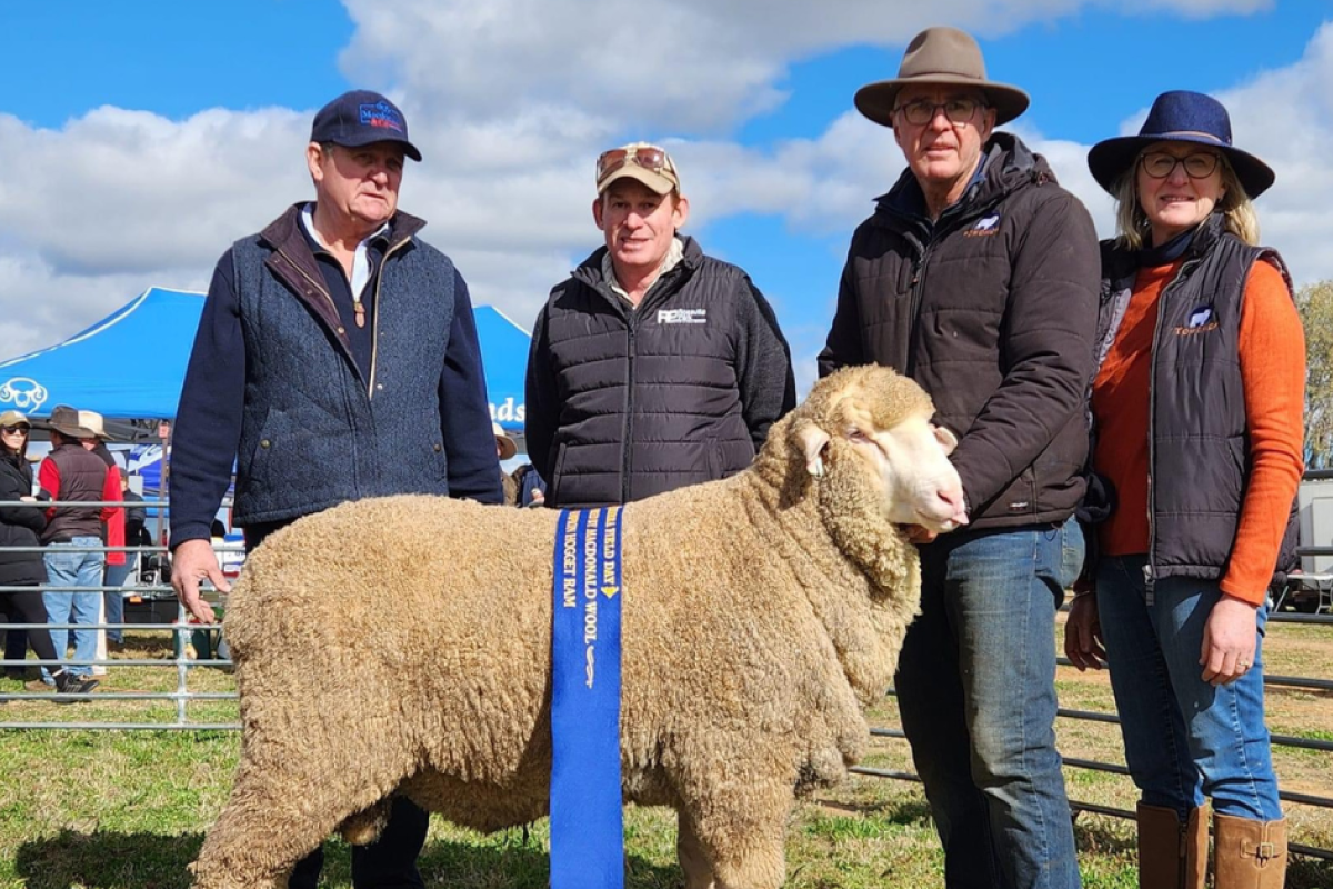 First placed hogget ram with sponsor Don Macdonald, Macdonald Wool, judge Matthew Coddington, Roseville Park, Dubbo and owners Garry and Donna Kopp, Towonga Stud, Peak Hill.