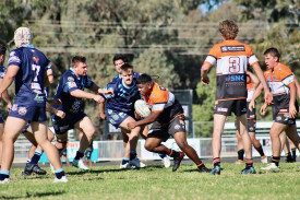 nyngan-tigers-defeated-orange-hawks-by-5-tries-to-one-in-reserve-grade.jpeg