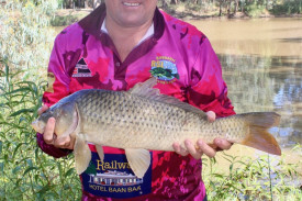Robert Davies from Narrabri has been coming to the carp muster for nine years.