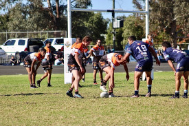 tigers-reserve-grade-on-their-line.jpeg